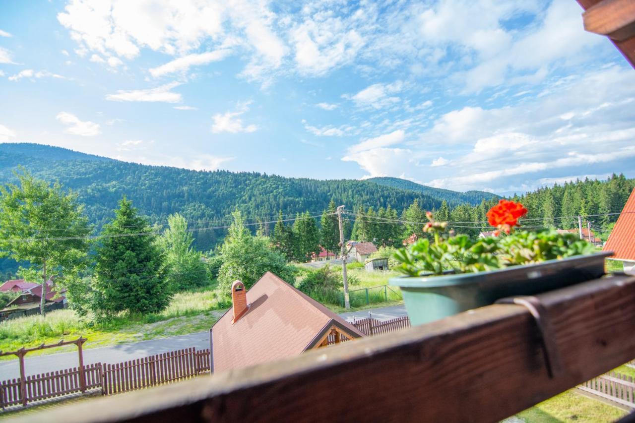 Silver Villa BaileTusnad Esterno foto